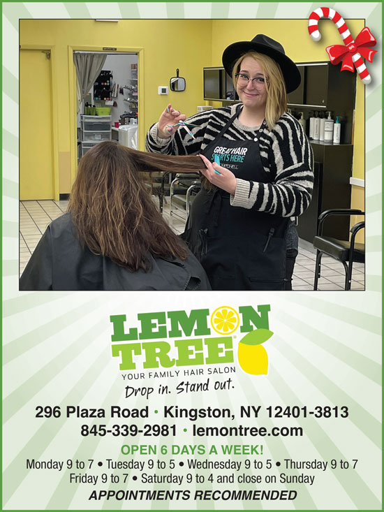 The Lemon Tree: Your Family Hair Salon