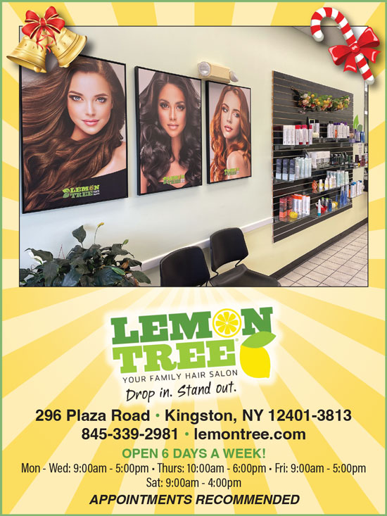 Make Your Appointment At Lemon Tree
